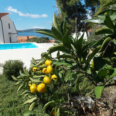 Apartments Villa Goja Трогир Номер фото