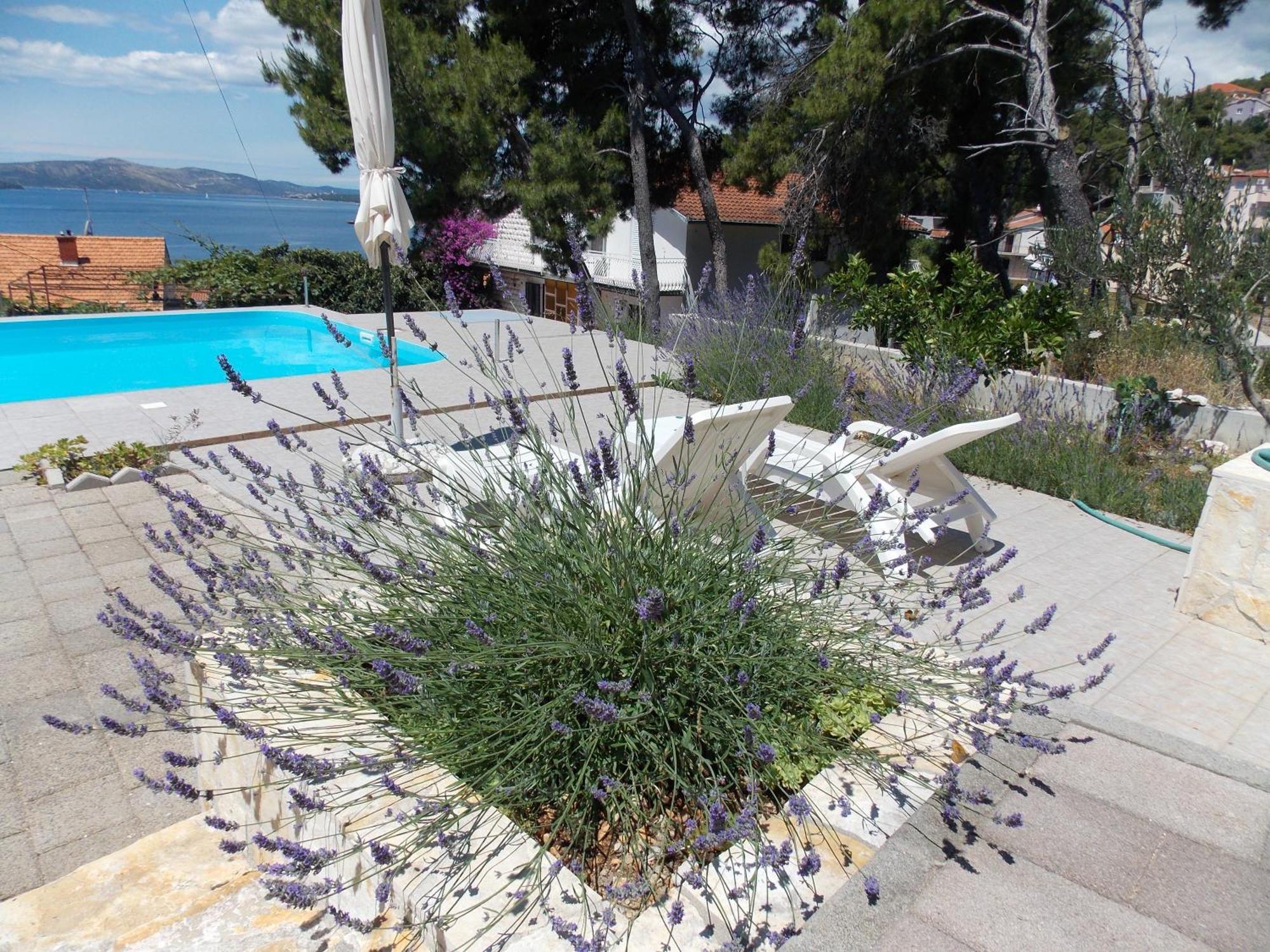 Apartments Villa Goja Трогир Номер фото